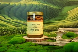 Bao nhiêu tuổi thì uống được sâm ngâm mật ong? Uống sâm ngâm mật ong lúc nào là tốt nhất?