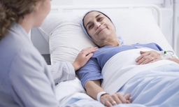 Sâm Việt Nam: Tiềm năng hỗ trợ điều trị ung thư - Khám phá sức mạnh kỳ diệu từ "Quốc bảo"