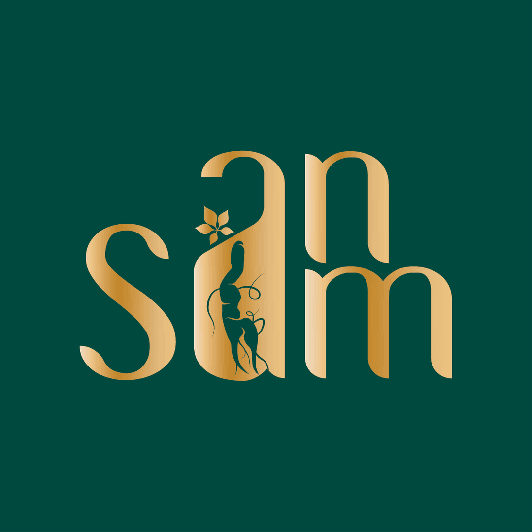 Giới thiệu về AnSam