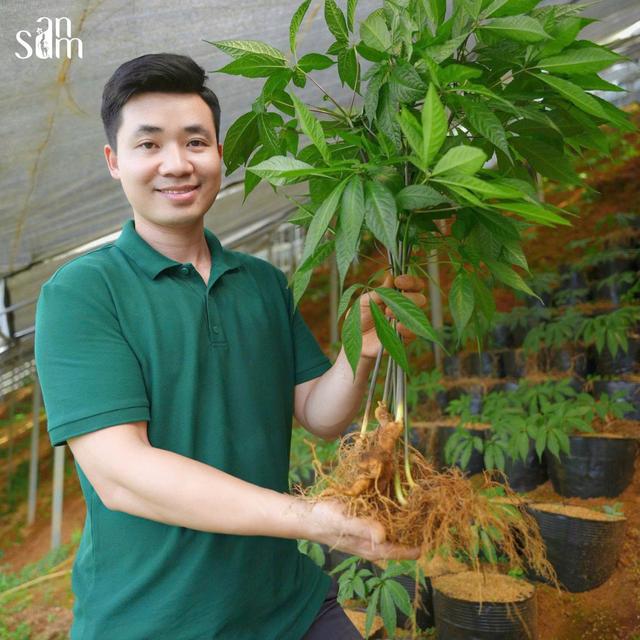 Bí quyết sơ chế và bảo quản sâm tươi Việt Nam đúng cách 