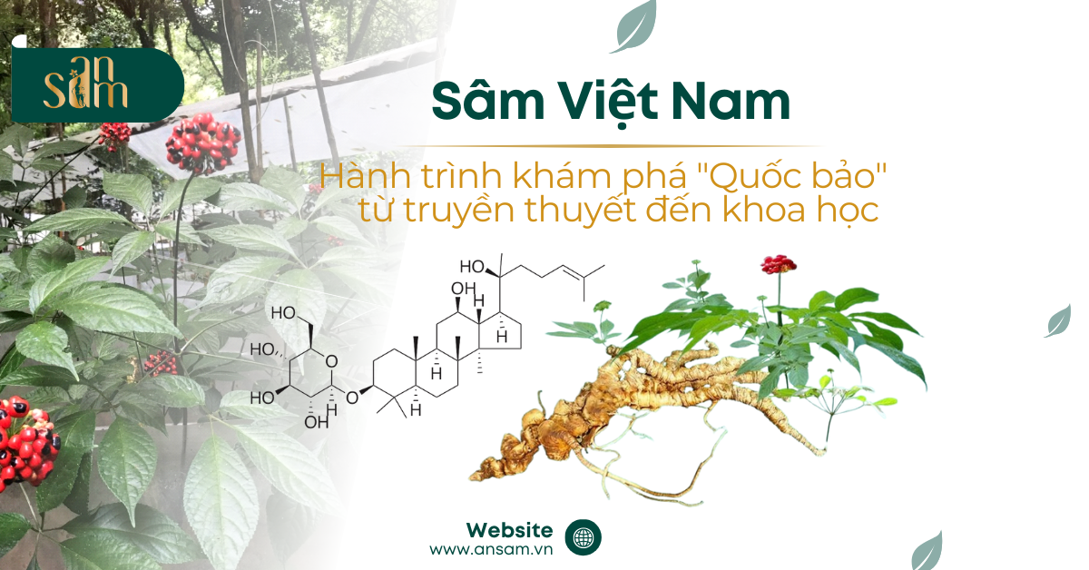 Green Modern Herbal Tea Promotion Facebook Ad
