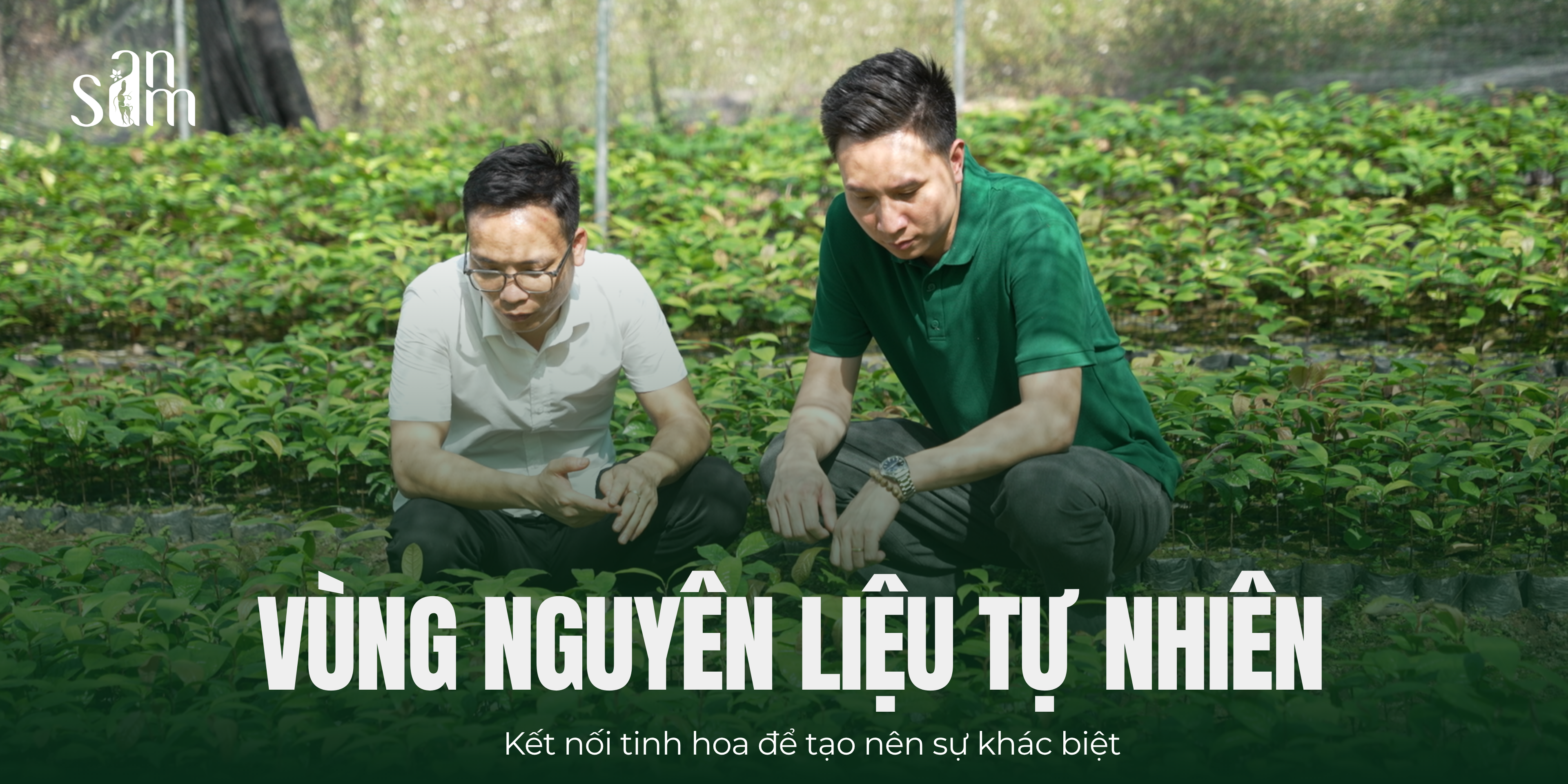 Mù Cang Chải (2)