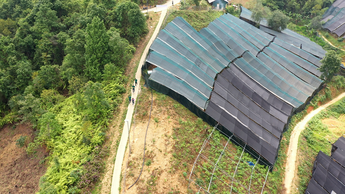 Dji 0047.00 01 34 18.still030